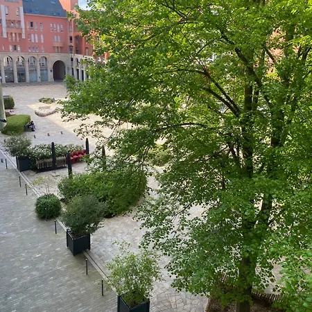 Les Codalices * Épernay